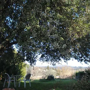 Fattoria Di Malavolta Apartment Florence